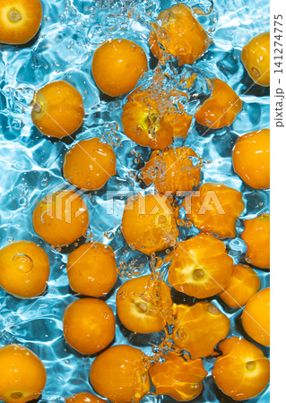 Fresh physalis berries in water splash for refreshing food concept Fresh physalis berries in water splash for refreshing food concept 141274775