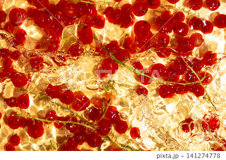 Macro shot of fresh redcurrants washing in golden water fluid texture Macro shot of fresh redcurrants washing in golden water fluid texture 141274778