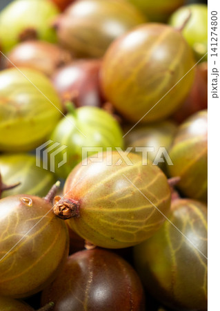 Macro shot of fresh gooseberries, close up texture of summer berries 141274800