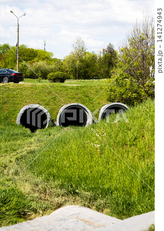 Concrete culvert pipes in grassy roadside ditch under daylight sky 141274943