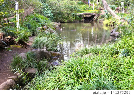 おとめ山公園 おとめ山公園 141275293