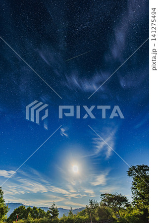 美しい月光に照らされた夜の森の木々と星空を横切る流れ星の神秘的な風景 美しい月光に照らされた夜の森の木々と星空を横切る流れ星の神秘的な風景 141275494