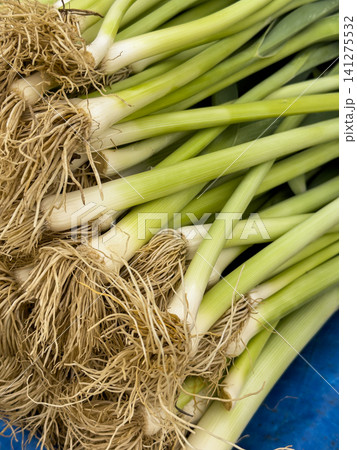 Healthy leeks at a grocery market stall 141275532