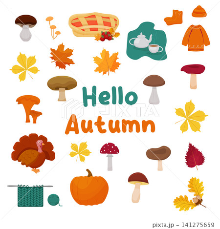 set with autumn leaves, pumpkin, sweater, tea and cake and mushroom , pumpkin, knitting and lettering. vector set with autumn leaves, pumpkin, sweater, tea and cake and mushroom , pumpkin, knitting and lettering. vector 141275659