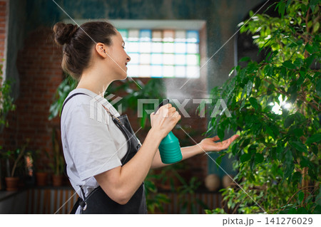 Running of own business. Young woman florist with spray bottle watering fertilizing plants in botanical store. Small business owner working at flower shop smiling surrounded by plants Small business 141276029