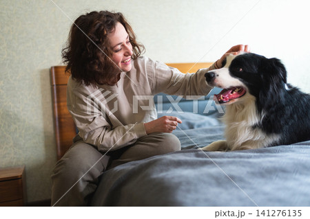 Smiling woman playing with cute puppy dog border collie on bed at home indoor. Owner girl stroking holding dog friend sitting on sofa in living room. Love for pets friendship support team concept 141276135