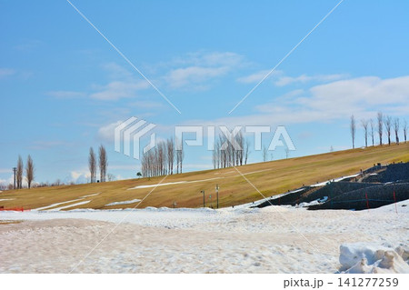 残雪の国営越後丘陵公園 残雪の国営越後丘陵公園 141277259