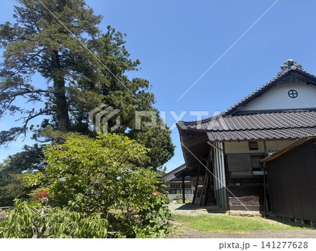 歴史を感じる寺院と大杉のある風景 歴史を感じる寺院と大杉のある風景 141277628