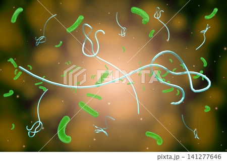Ebola virus - 3D illustration Ebola virus - 3D illustration 141277646