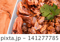 Crispy Fried Soft Fish with Golden Garlic FlakesDescription: 141277785