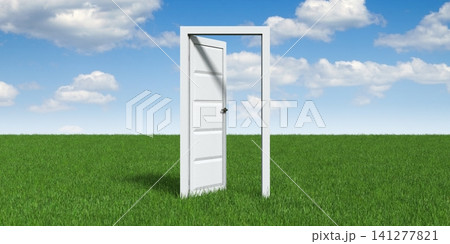Open door concept - 3D illustration Open door concept - 3D illustration 141277821