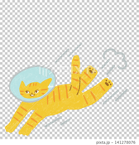 A tabby cat running while wearing an Elizabethan collar A tabby cat running while wearing an Elizabethan collar 141278076