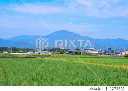 梅雨の田園風景 梅雨の田園風景 141278702