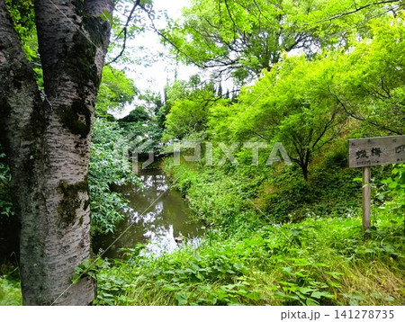 初夏の西尾市歴史公園 初夏の西尾市歴史公園 141278735