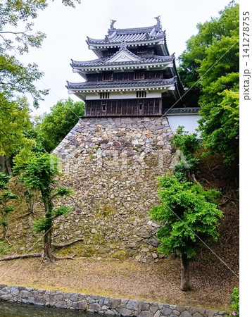 初夏の西尾市歴史公園 初夏の西尾市歴史公園 141278755