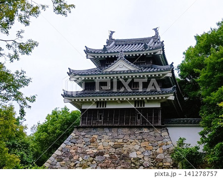 初夏の西尾市歴史公園 初夏の西尾市歴史公園 141278757