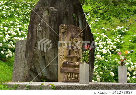 静岡県 可睡ゆりの園 石仏と紫陽花 静岡県 可睡ゆりの園 石仏と紫陽花 141278957