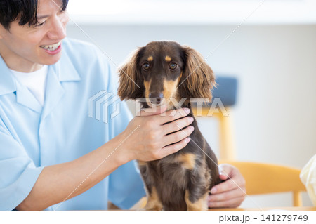 ファミリー 犬のいる暮らし 飼い主と過ごすダックスフント ファミリー 犬のいる暮らし 飼い主と過ごすダックスフント 141279749