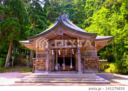 新緑に包まれた真山神社、本社拝殿 新緑に包まれた真山神社、本社拝殿 141279850