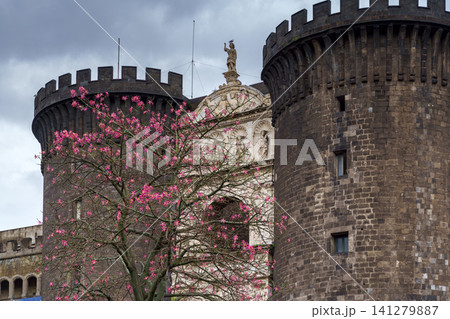 NAPLES, ITALY - NOVEMBER 05, 2018 - The medieval castle of Maschio Angioino or Castel Nuovo New Castle and the silk tree in bloom, Napoli NAPLES, ITALY - NOVEMBER 05, 2018 - The medieval castle of Maschio Angioino or Castel Nuovo New Castle and the silk tree in bloom, Napoli 141279887