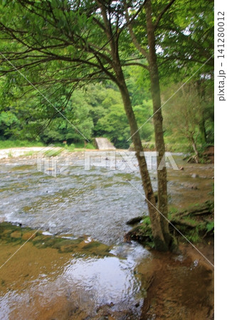 大雨後で水量が増した布引の滝群 大雨後で水量が増した布引の滝群 141280012