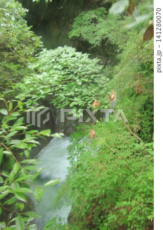 大雨後で水量が増した布引の滝群 大雨後で水量が増した布引の滝群 141280070