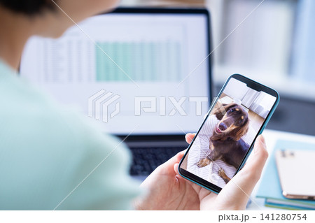 ペット 仕事中にペットカメラに接続して愛犬の様子をチェックする飼い主の手元 ペット 仕事中にペットカメラに接続して愛犬の様子をチェックする飼い主の手元 141280754