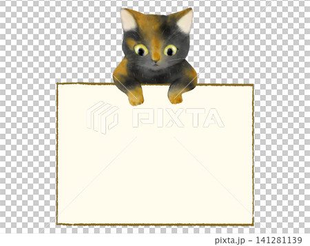 Cat (tortoiseshell cat) picture book style frame Cat (tortoiseshell cat) picture book style frame 141281139