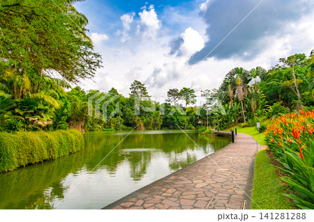 シンガポール植物園 緑豊かなシンフォニー湖畔の美しい風景と石畳の遊歩道 シンガポール植物園 緑豊かなシンフォニー湖畔の美しい風景と石畳の遊歩道 141281288