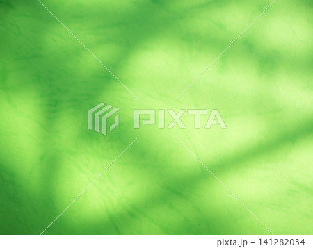 Green background shadow light overlay blur nature on cment floor wall backdrop, minimal room for presentation product tropical or ecosystem environment organic, platform empty abstract pastel. 141282034