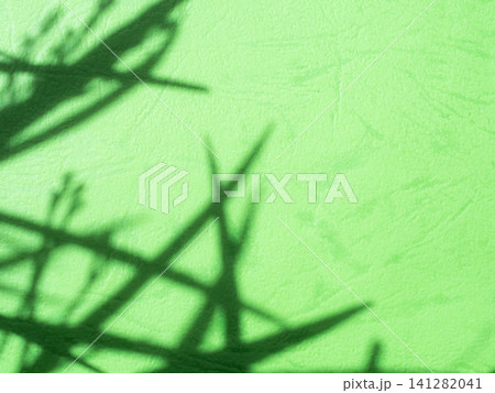 Green background shadow light overlay blur nature on cment floor wall backdrop, minimal room for presentation product tropical or ecosystem environment organic, platform empty abstract pastel. 141282041