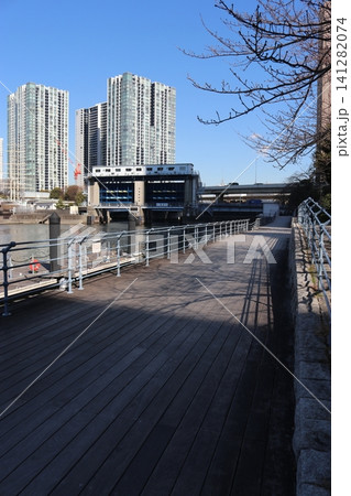 水辺広場 水辺広場 141282074