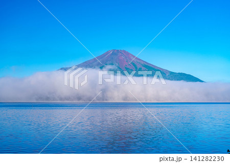 【富士山素材】山中湖から見る朝焼けに染まる赤富士と雲海【山梨県】 【富士山素材】山中湖から見る朝焼けに染まる赤富士と雲海【山梨県】 141282230