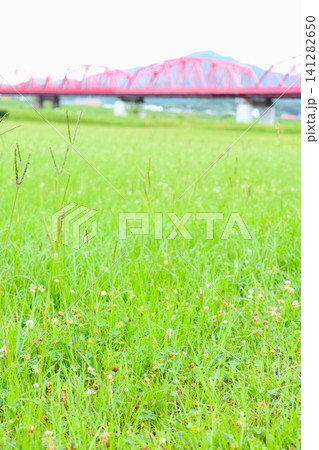 四万十川の赤鉄橋と広がる緑の河川敷 四万十川の赤鉄橋と広がる緑の河川敷 141282650