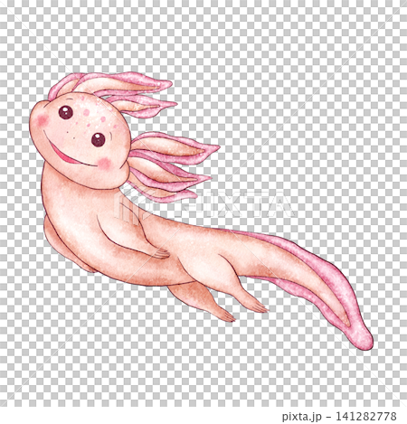 Watercolor Cute axolotl swimming gracefully with dreamy smile. Pink hand painted romantic and adorable aquatic character clipart isolated on white. Illustration for stickers, kids decor, stationery. Watercolor Cute axolotl swimming gracefully with dreamy smile. Pink hand painted romantic and adorable aquatic character clipart isolated on white. Illustration for stickers, kids decor, stationery. 141282778