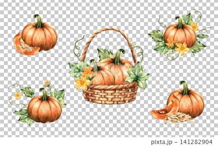 Watercolor pumpkin composition set collection. Isolated Illustration in basket, cut slices, leaves, blossom and tendrils. Autumn, fall harvest hand painted arrangement on white background. Watercolor pumpkin composition set collection. Isolated Illustration in basket, cut slices, leaves, blossom and tendrils. Autumn, fall harvest hand painted arrangement on white background. 141282904