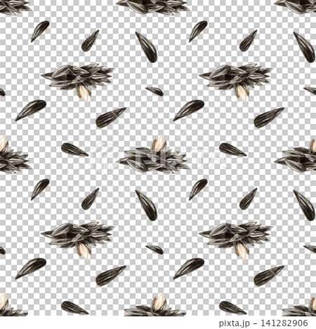 Sunflower seeds seamless pattern watercolor. Pile of black seeds, open kernel. Isolated on white background. Hand painted illustration for snack packaging design, healthy food label, oil production. Sunflower seeds seamless pattern watercolor. Pile of black seeds, open kernel. Isolated on white background. Hand painted illustration for snack packaging design, healthy food label, oil production. 141282906