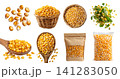 Set of grains kernels of maize corn, rattan basket, salad fly, wooden spoon, resealable craft paper plastic pouch, stack pile, transparent cutout PNG. mockup 141283050
