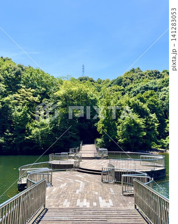 新緑と青空に彩られた恩賜池にかかる睡蓮の浮橋〈岡崎中央総合公園/愛知県岡崎市〉 新緑と青空に彩られた恩賜池にかかる睡蓮の浮橋〈岡崎中央総合公園/愛知県岡崎市〉 141283053