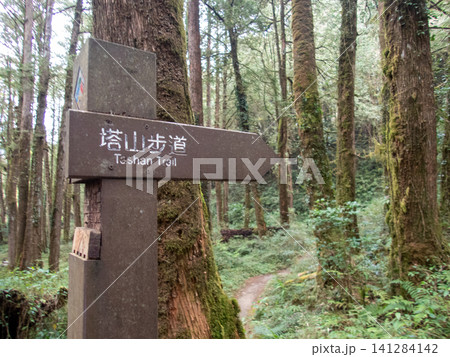 阿里山国家森林遊楽区と登山道 阿里山国家森林遊楽区と登山道 141284142