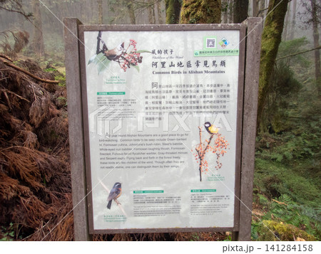 阿里山国家森林遊楽区と登山道 阿里山国家森林遊楽区と登山道 141284158