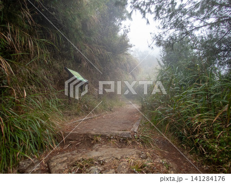 阿里山国家森林遊楽区と登山道 阿里山国家森林遊楽区と登山道 141284176