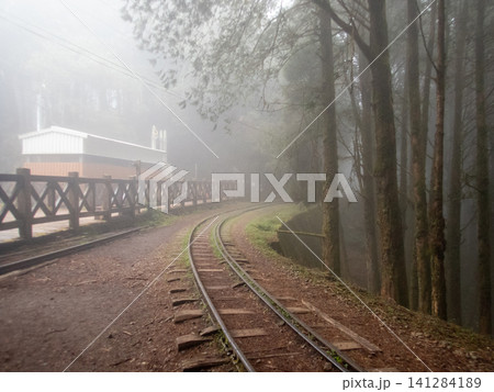 阿里山国家森林遊楽区と登山道 阿里山国家森林遊楽区と登山道 141284189