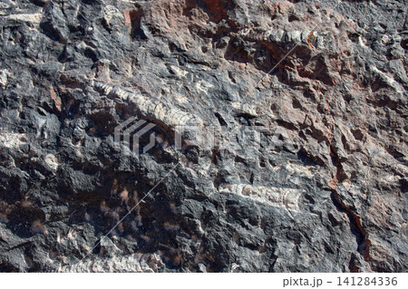 Ancient marine fossils embedded in the rock of the Merzouga Desert in southern Morocco Ancient marine fossils embedded in the rock of the Merzouga Desert in southern Morocco 141284336