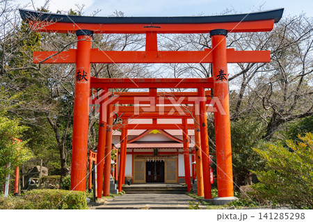 伯耆稲荷神社 鳥居と拝殿 鳥取県東伯郡琴浦町 伯耆稲荷神社 鳥居と拝殿 鳥取県東伯郡琴浦町 141285298