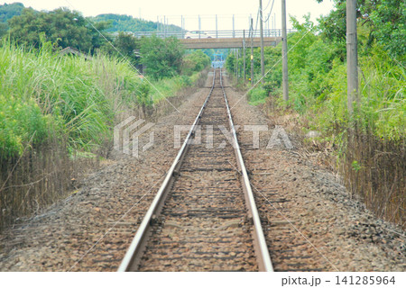 信楽高原鐵道 夏草の中を伸びる線路 信楽高原鐵道 夏草の中を伸びる線路 141285964