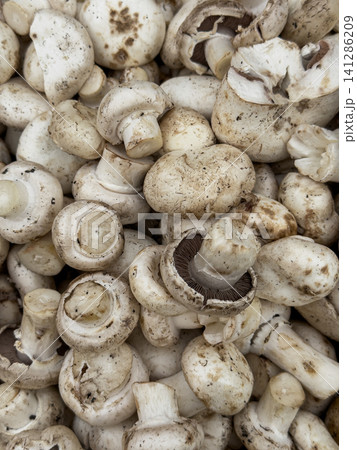 Organic mushrooms displayed at a fresh produce market Organic mushrooms displayed at a fresh produce market 141286209