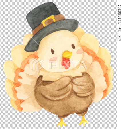 Watercolor painting of Thanksgiving turkey. Watercolor painting of Thanksgiving turkey. 141286347