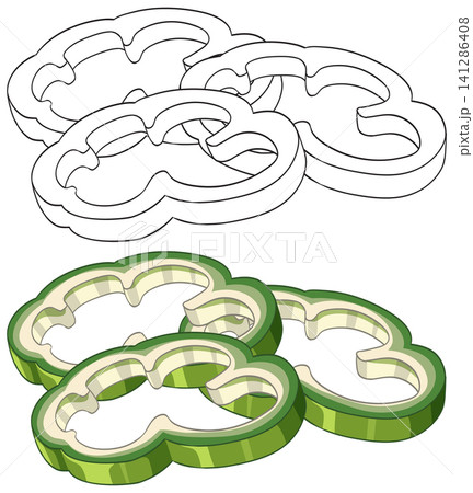 Vector Illustration of Sliced Green Bell Peppers in Color and Outline 141286408