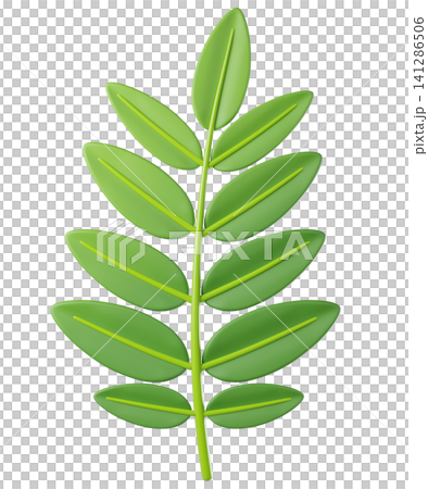 3D leaf rowan in green color, isolated on background. Botanical leaves for eco design, spring, summer, autumn, nature, organic, gardening, stickers, banners. 3d render 3D leaf rowan in green color, isolated on background. Botanical leaves for eco design, spring, summer, autumn, nature, organic, gardening, stickers, banners. 3d render 141286506